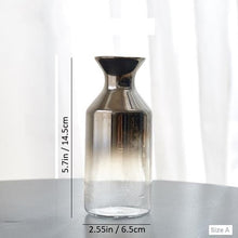 Load image into Gallery viewer, Mod Glass Vase - Transparent 2 Tone
