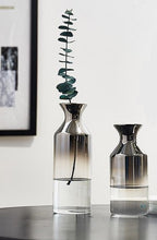 Load image into Gallery viewer, Mod Glass Vase - Transparent 2 Tone
