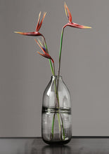 Load image into Gallery viewer, Simply So Attractive Glass Vase
